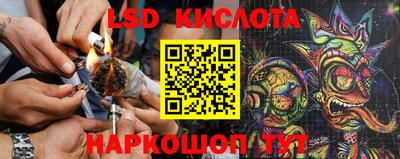 индика Краснодар