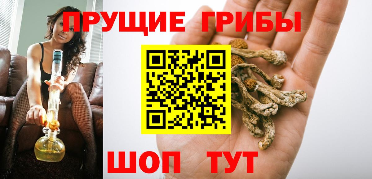 Псилоцибиновые грибы MAGIC MUSHROOMS Каспийск